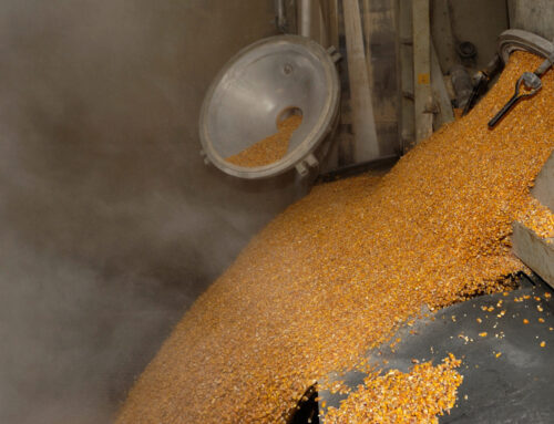 Silo Dust Explosions: Causes and Prevention Strategies